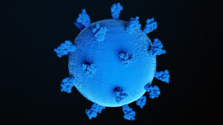 The Omicron Variant: Why It Is of Concern and What Is Symptoms, Vaccine Evasion