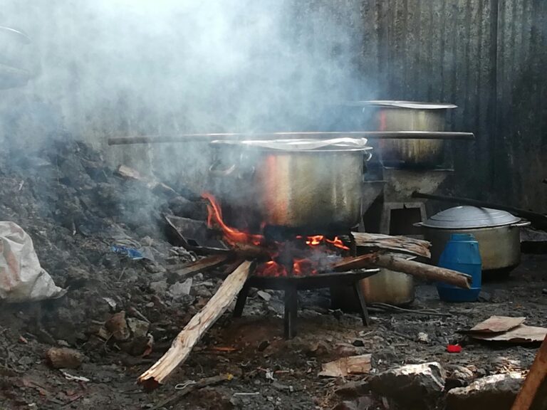 Pit Cooking: Preserving Traditional Culinary Techniques