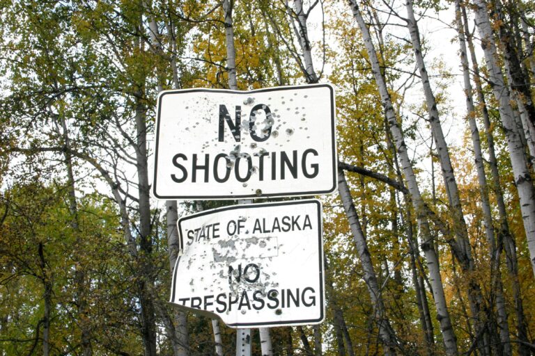 Minnesota Shooting Sparks Senate Uproar: Political Fallout and Calls for Unity