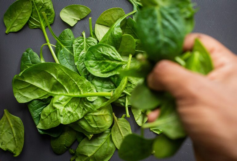 Plant-Based Power: How to Make Your Meals More Sustainable and Delicious